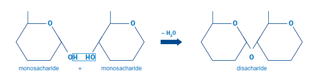 monosachariden - ice solution
