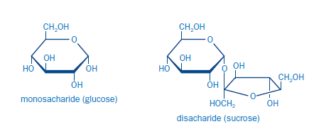 monosachariden - ice solution
